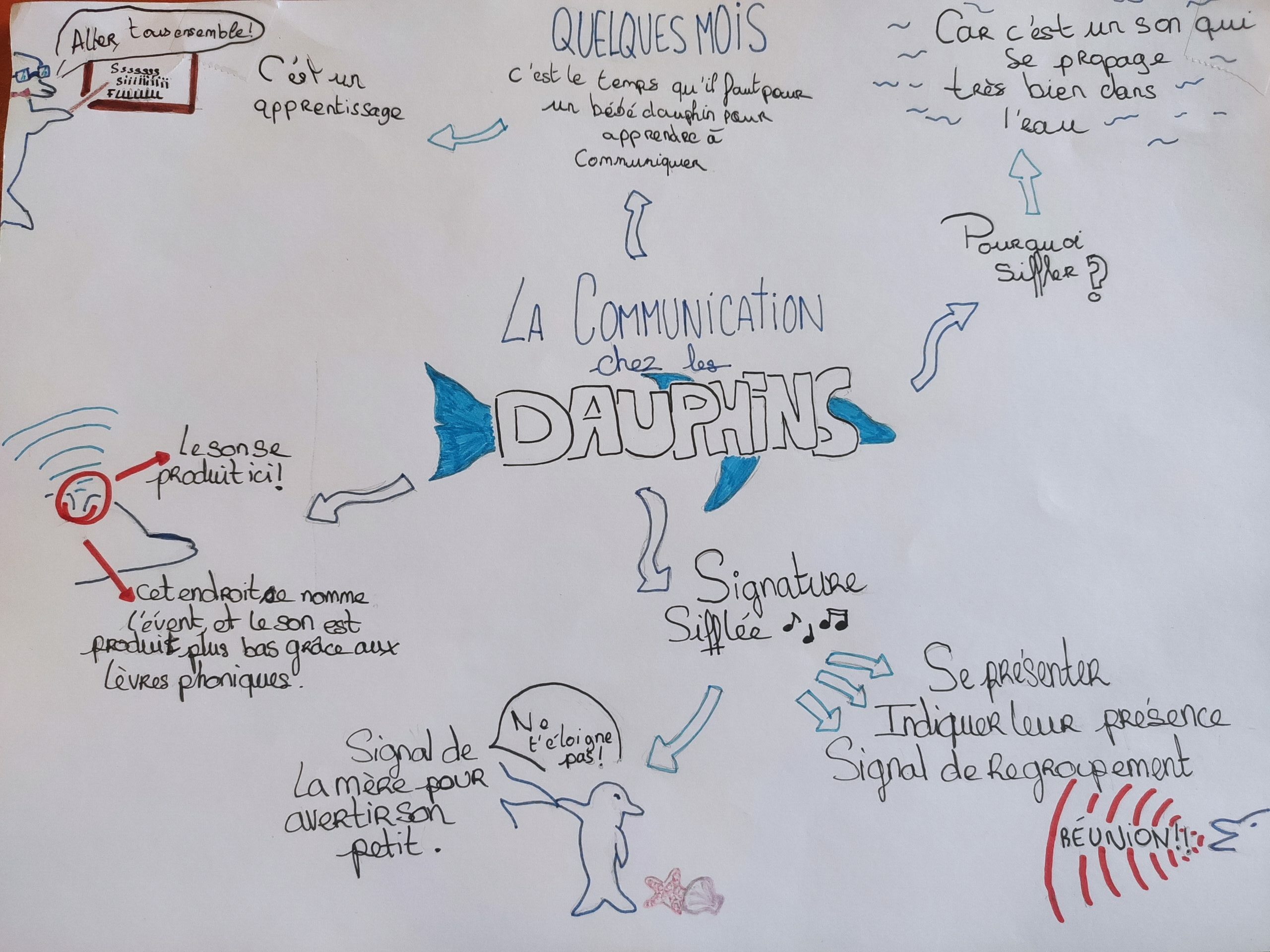 Ella-Anaïs-Binta Affiche réalisée à partir de l'ouvrage Dans la peau d'un dauphin de F. Delfour