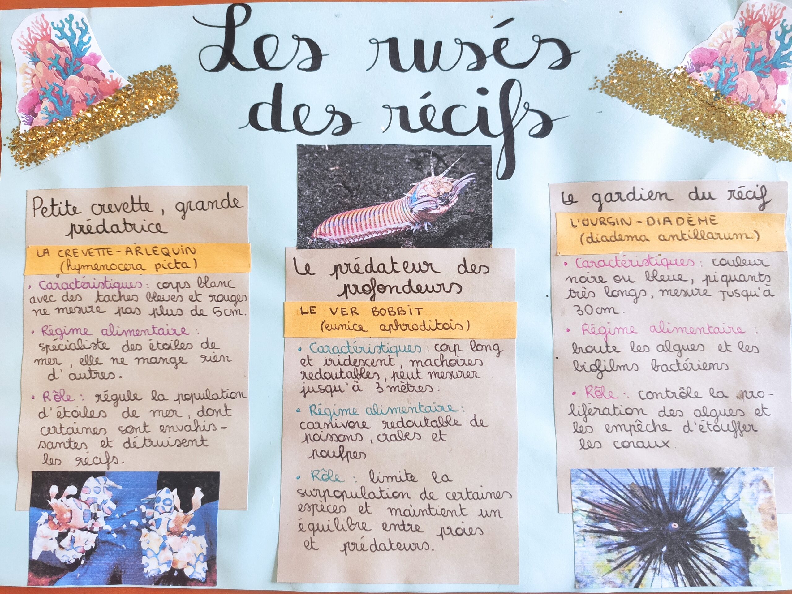 Affiche réalisée à partir de l'ouvrage Les rusés des récifs de C. Vadon