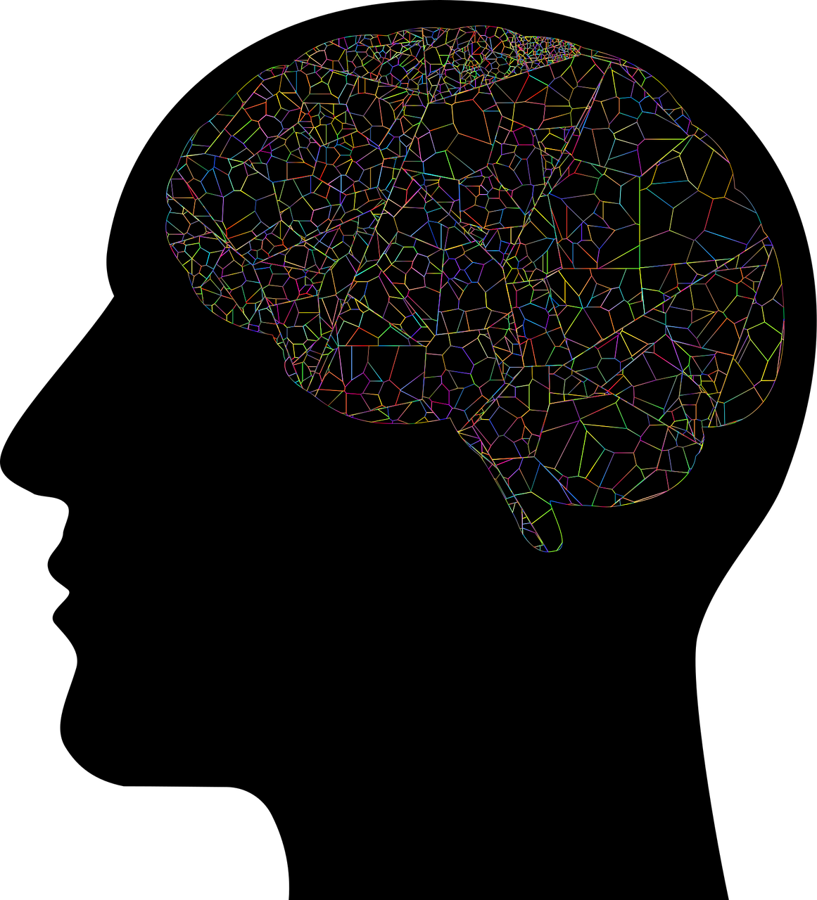 Cerveau